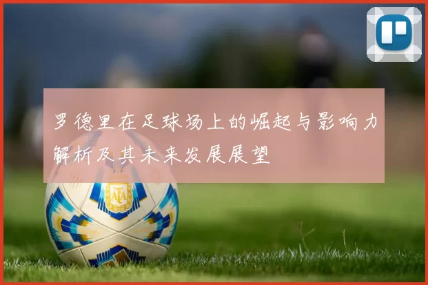 罗德里在足球场上的崛起与影响力解析及其未来发展展望