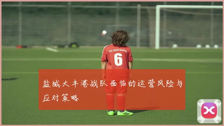 盐城大丰港战队面临的运营风险与应对策略