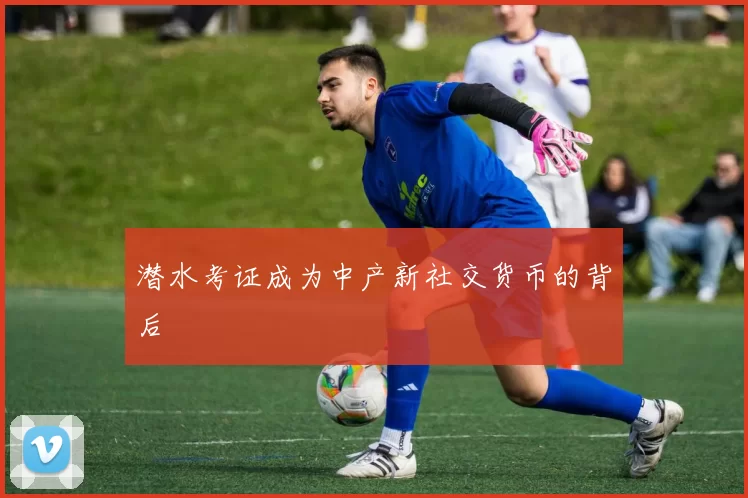 潜水考证成为中产新社交货币的背后