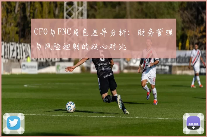 CFO与FNC角色差异分析：财务管理与风险控制的核心对比