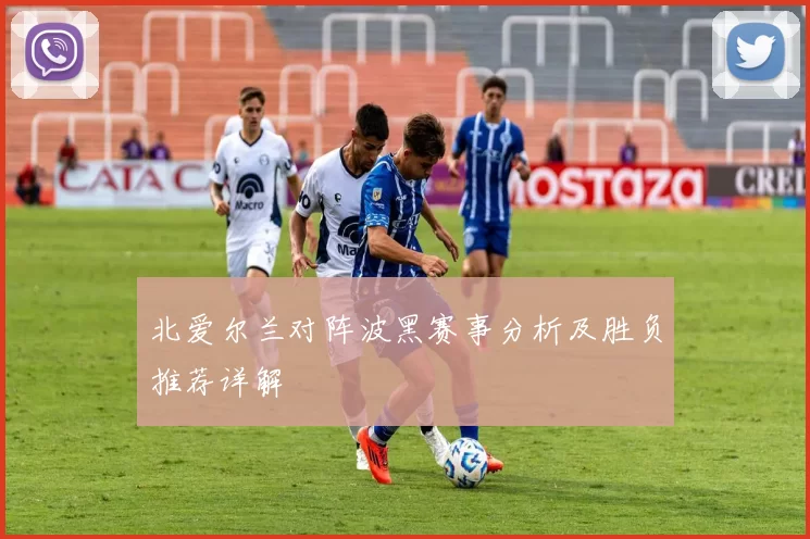北爱尔兰对阵波黑赛事分析及胜负推荐详解
