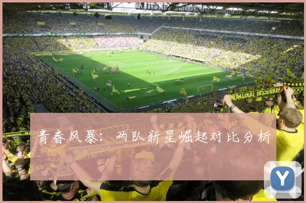 青春风暴：两队新星崛起对比分析