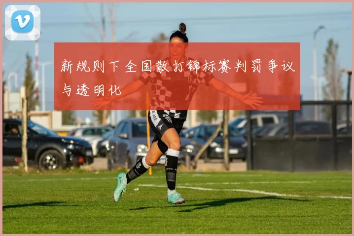 新规则下全国散打锦标赛判罚争议与透明化