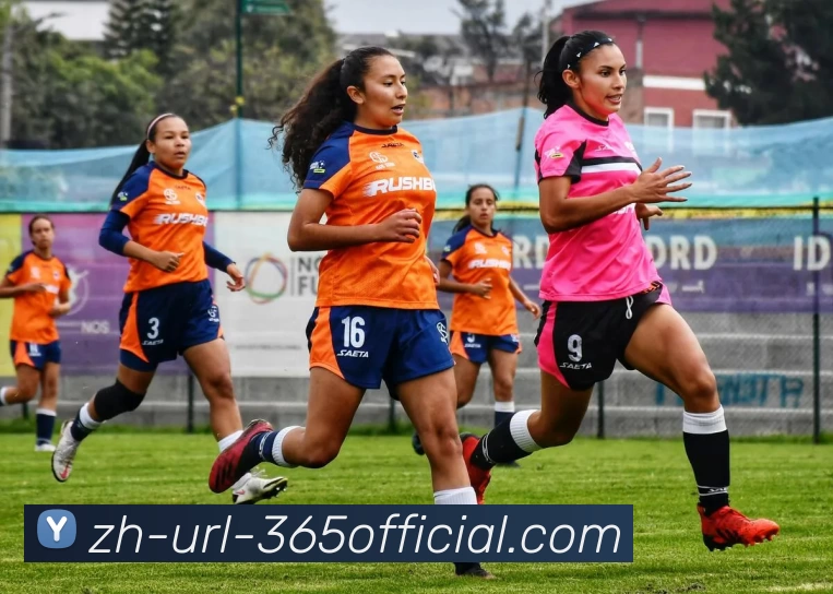 beat365官网入口发展历程